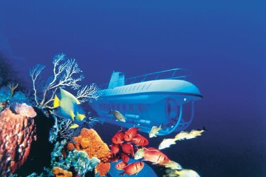 Underwater Adventures Image 21- Image 1