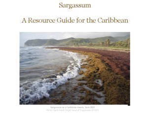 Sargassum Resource Guide For the Caribbean