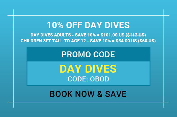 Online Booking Offer Day Dives