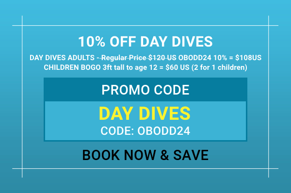 Online Booking Offer Day Dives with BOGO