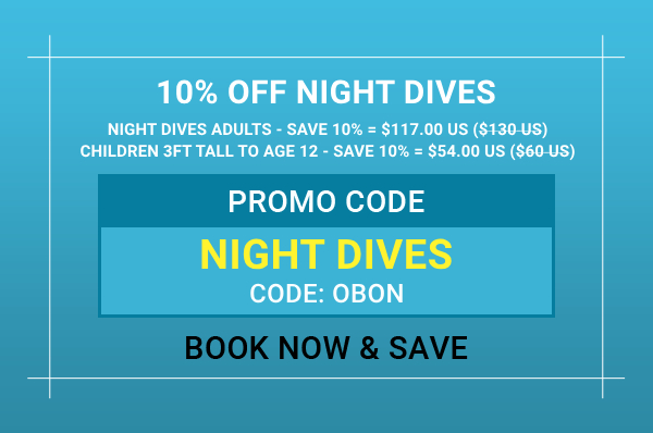 Online Booking Offer Night Dives