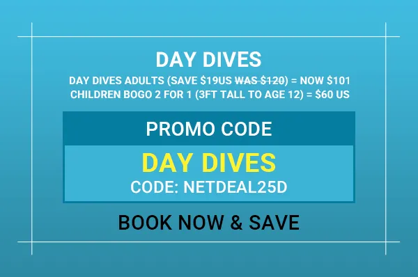 Online Special Offer Day Dives