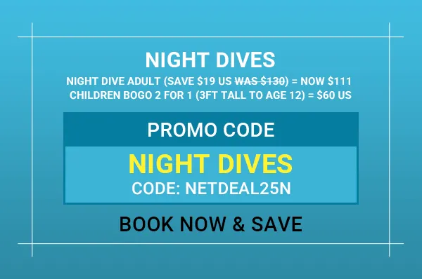 Online Booking Offer Night Dives
