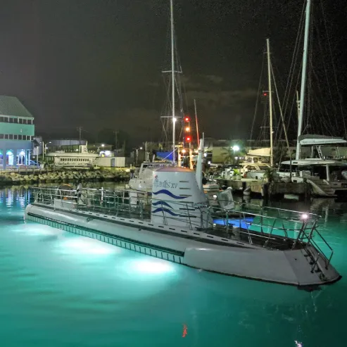 From Sunset to Starlight: Unique Barbados Night Tours You Can’t Miss