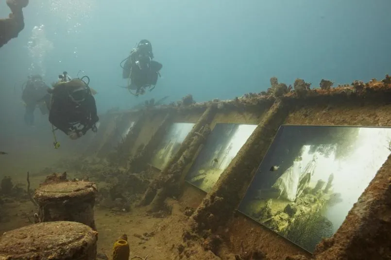 Barbados for Families: Unforgettable Activities Beyond the Beach