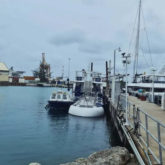 Behind the Hatches: How an Atlantis Submarine Actually Works