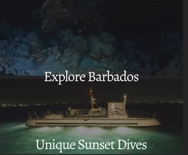 The Perfect 24-Hour Barbados Itinerary: From Day Tours to Night Adventures