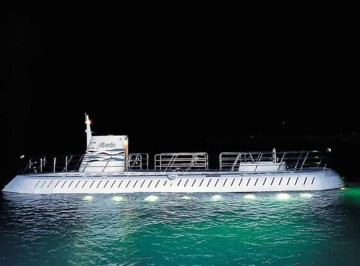 What Marine Life Comes Alive at Night in Barbados’ Waters?