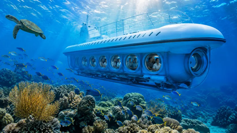 Why Atlantis Submarines Is One of the Most Unique Things to Do in Barbados