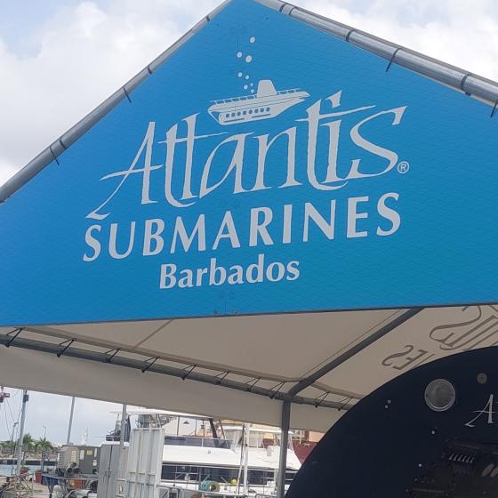 Frequently Asked Questions About Atlantis Submarines