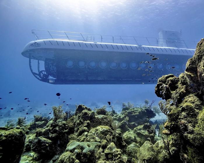 Why The Barbados Submarine Tour is the #1 Must-Do Activity?