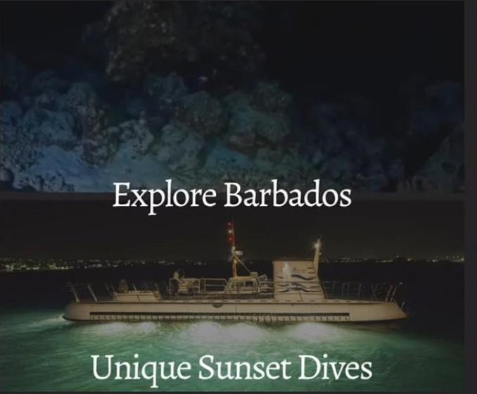 The Perfect 24-Hour Barbados Itinerary: From Day Tours to Night Adventures