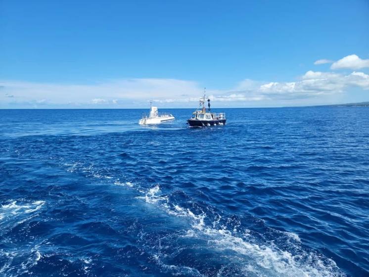 One Day in Barbados From a Cruise Ship: What Not to Miss