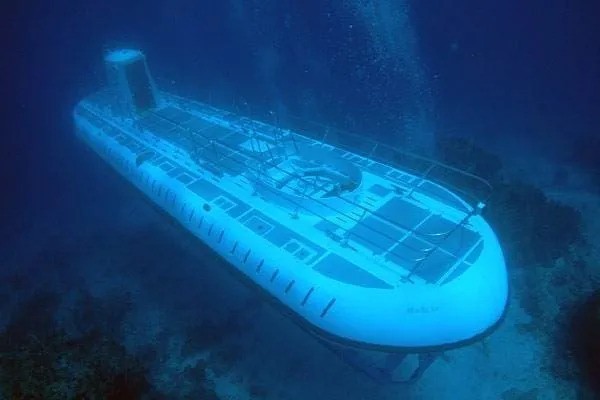 Is a Night Submarine Tour in Barbados Worth It? Here's What You'll See