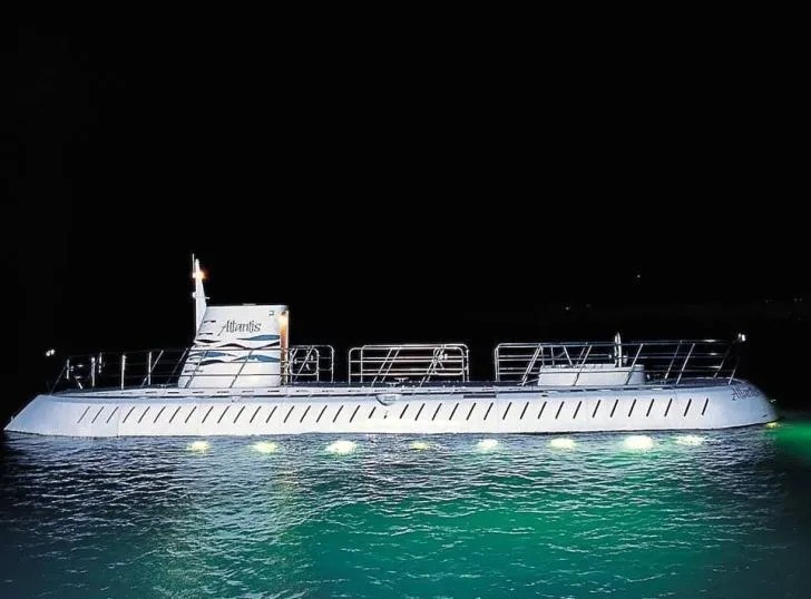 What Marine Life Comes Alive at Night in Barbados’ Waters?