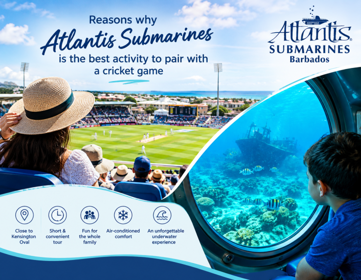Reasons why Atlantis Submarines is the Best Activity to Pair With a Cricket Game
