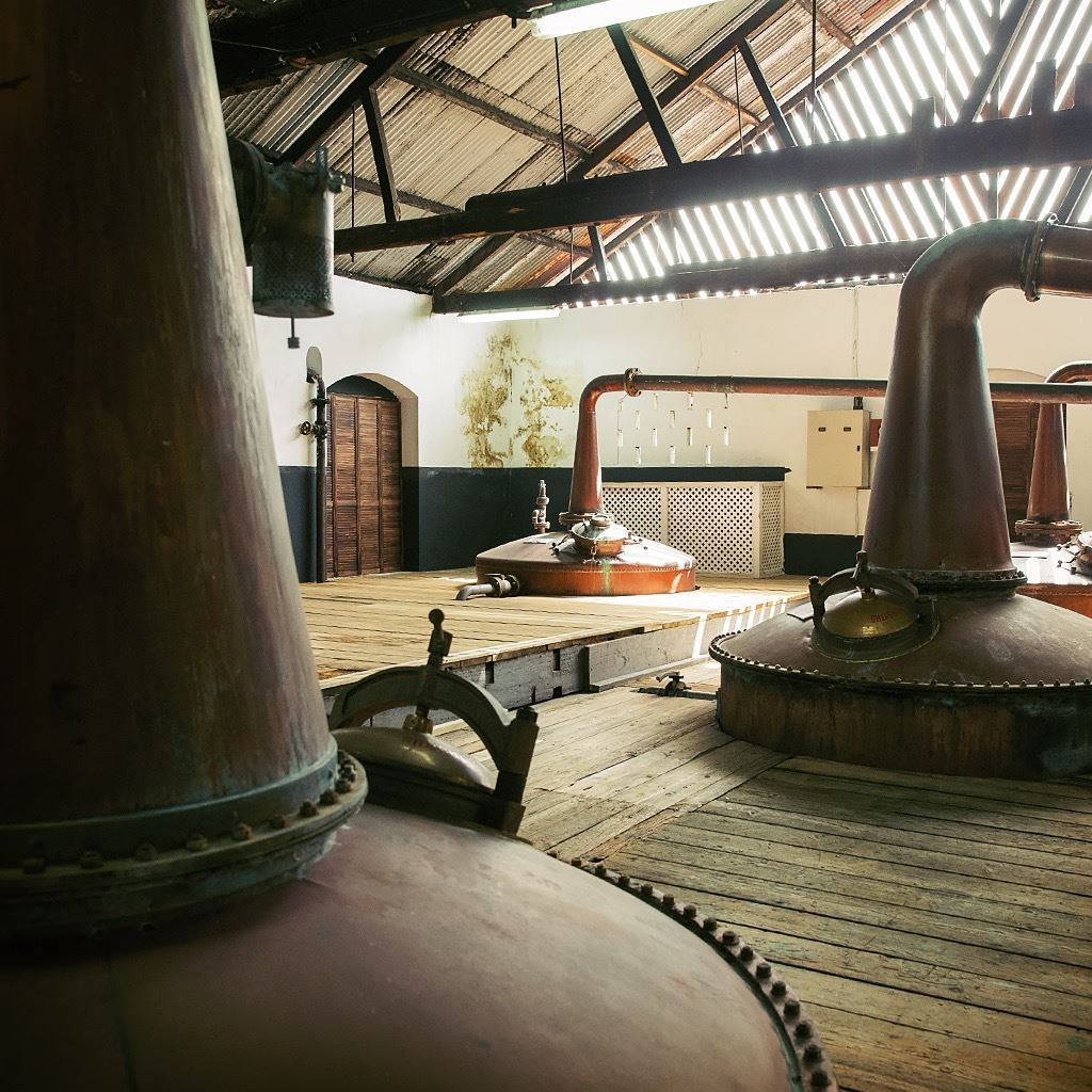 Mount Gay Rum Tours