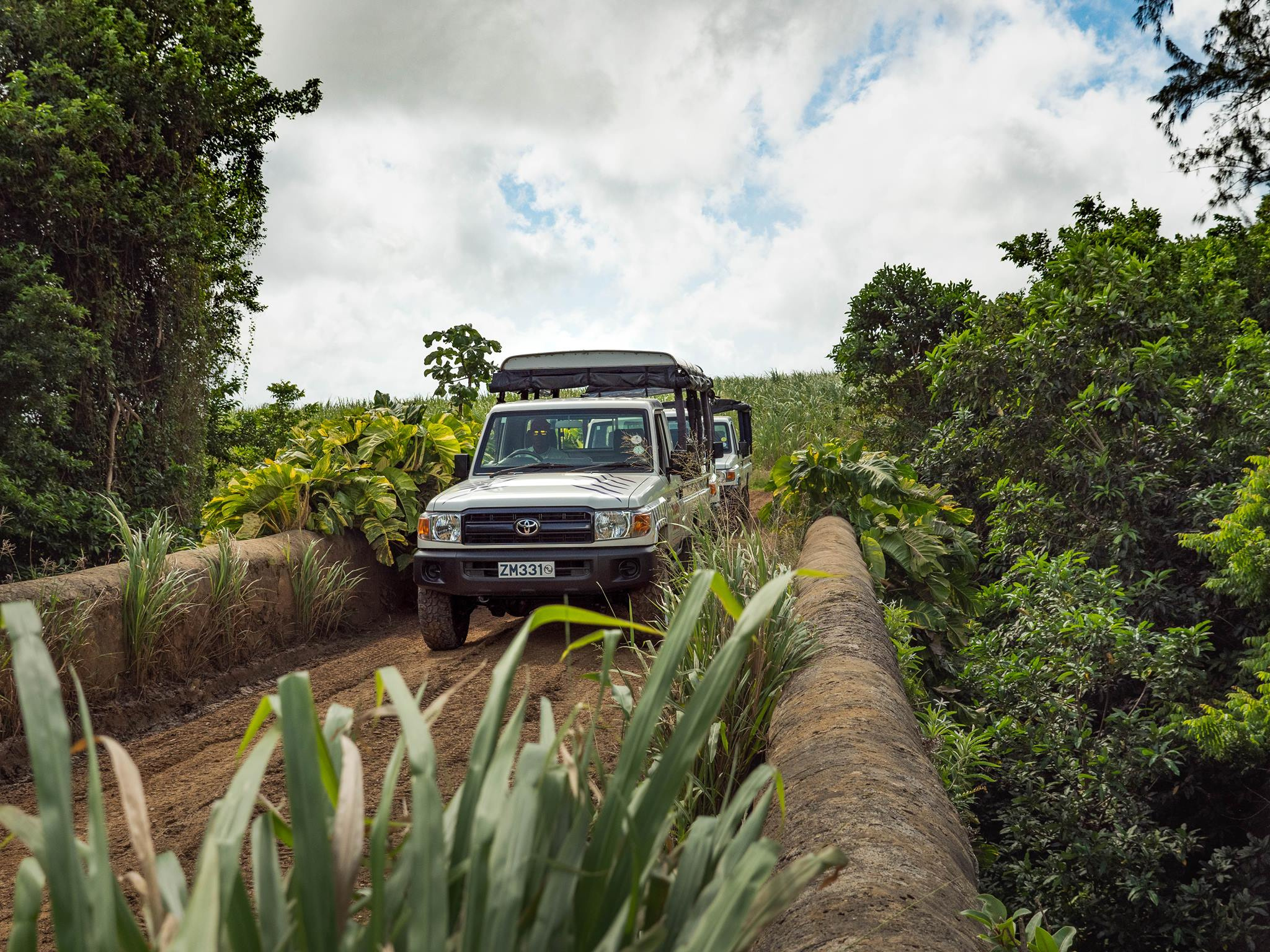 Island Safari