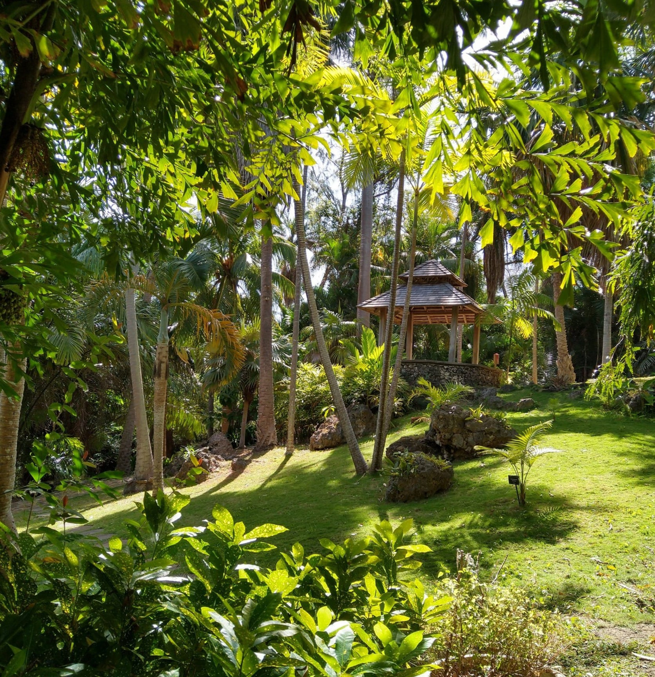 Andromeda Botanic Gardens