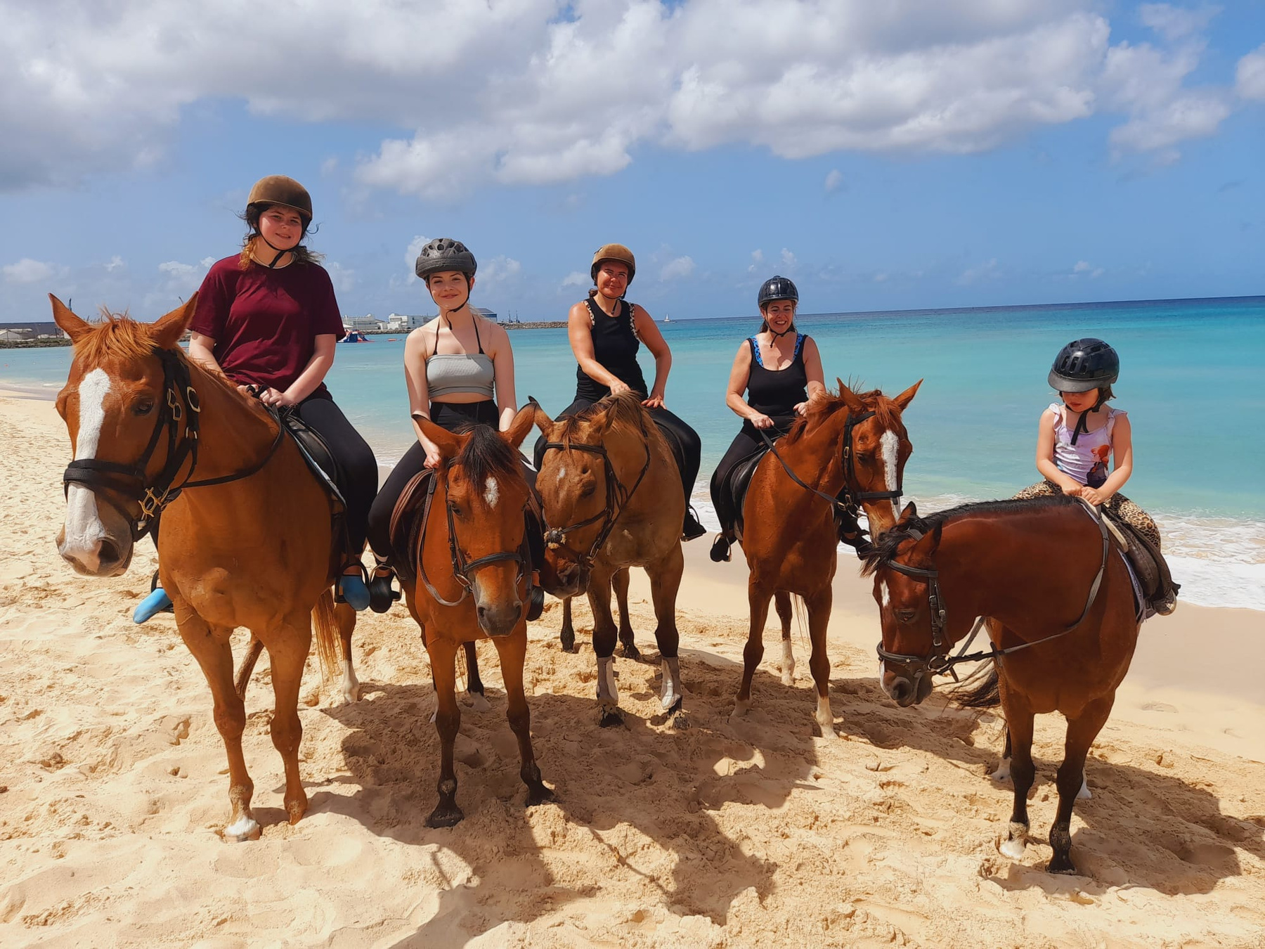Sandy Turf Stables Barbados